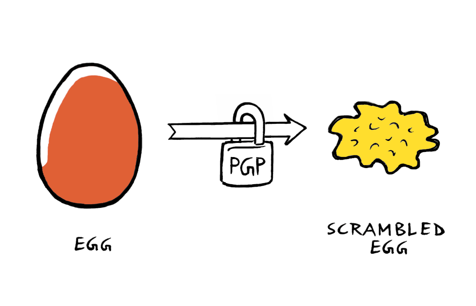 scrambled-egg